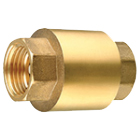 Check Valve (Spring) Brass