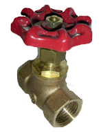 Globe Valve Bronze