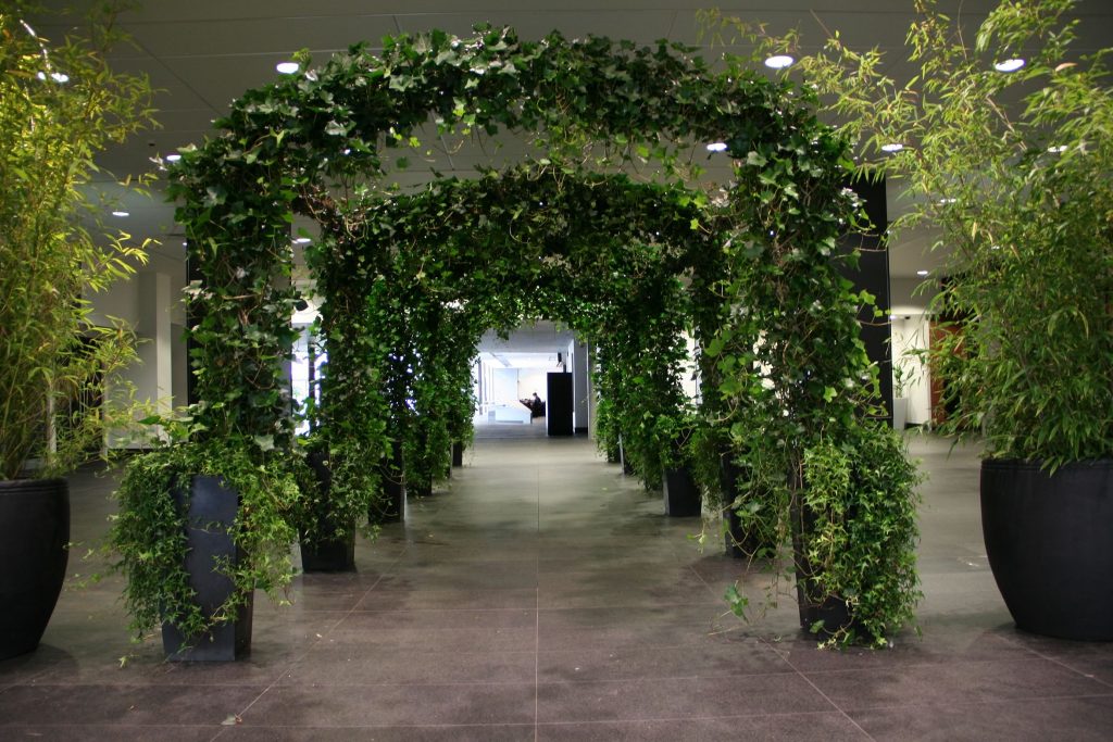 Wedding Arches and Arch Walkways