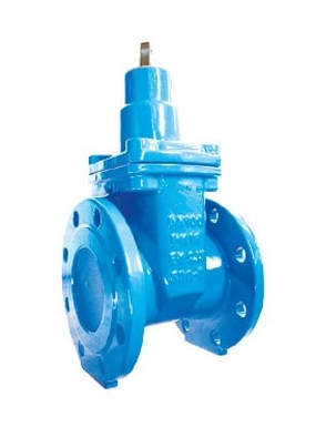 Cascade Resilient Seat Gate Valve