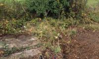 Garden Waste Clearance