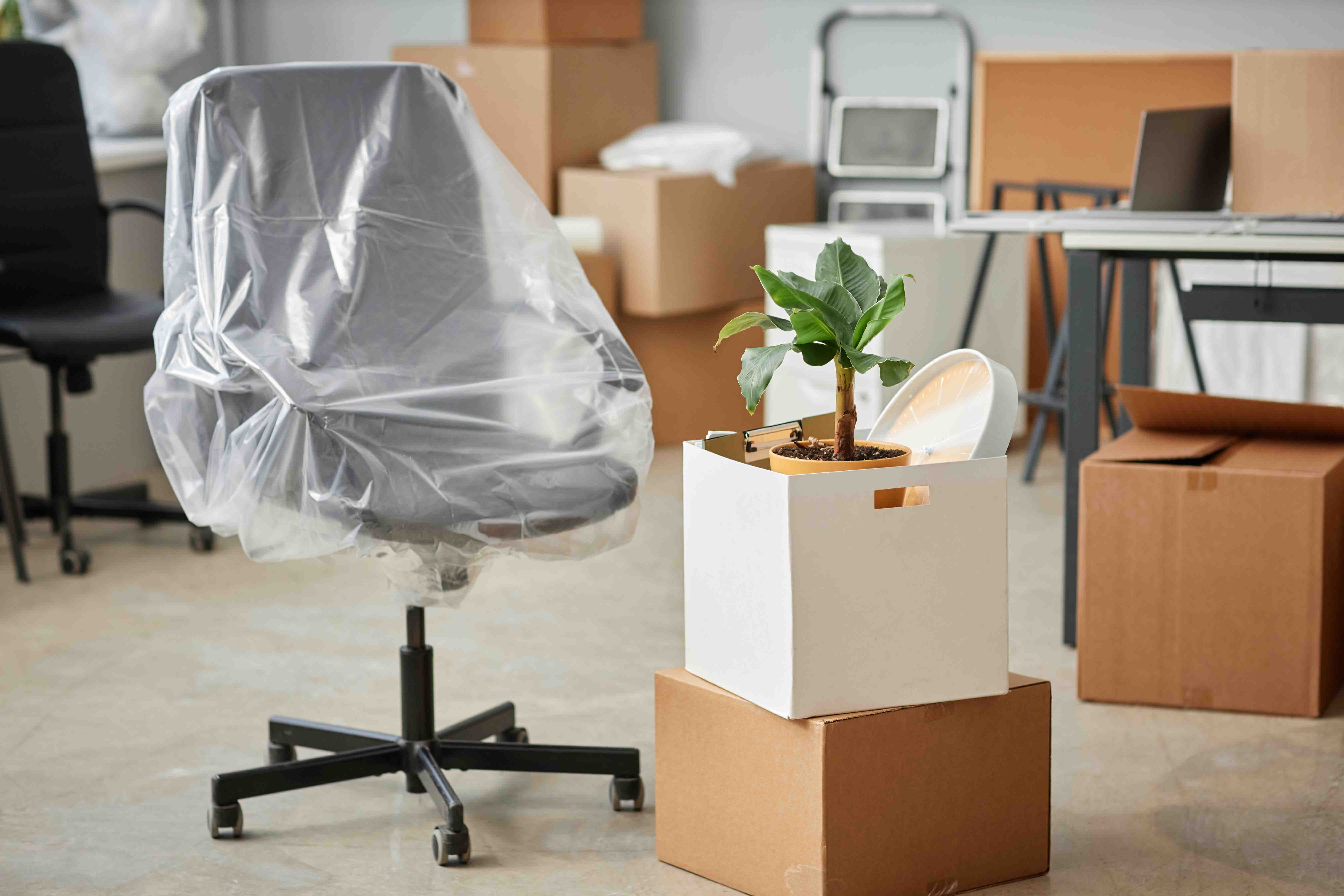 Internal Office Moves & Porterage