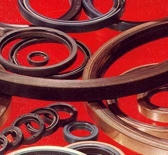 Rotary Shaft Seals