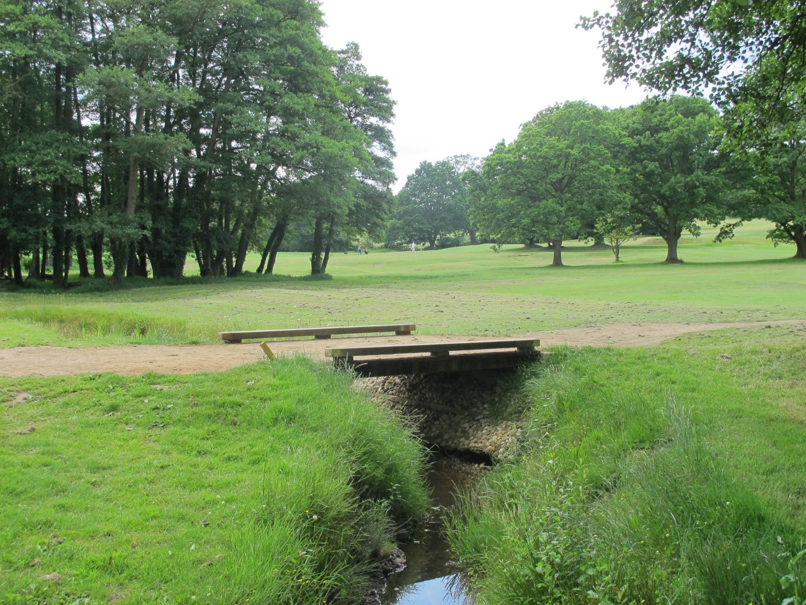 Golf Course Bridge