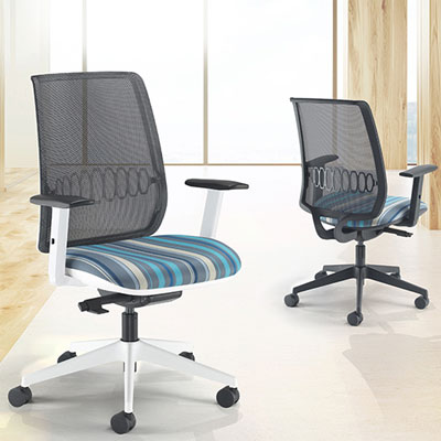 Alden Ergonomic Task Chair