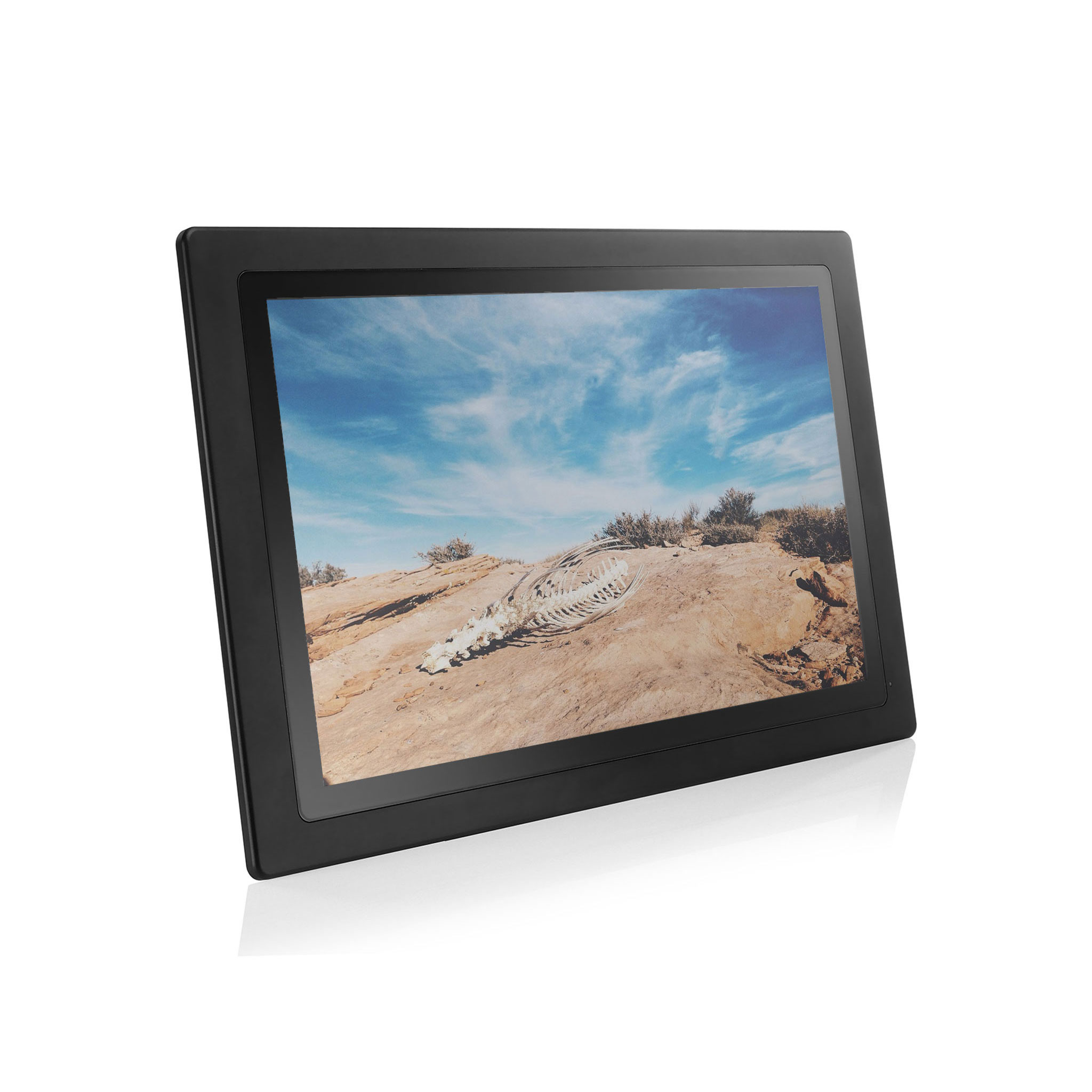 Rugged Panel PCs