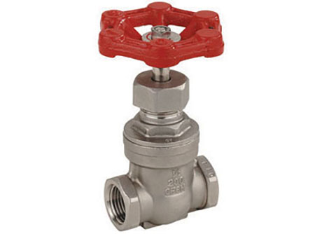 Globe Valves