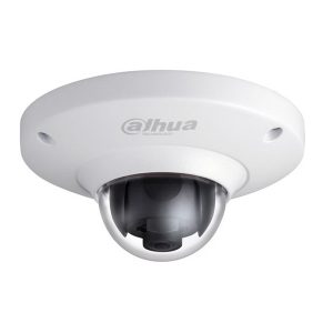 IP Cameras