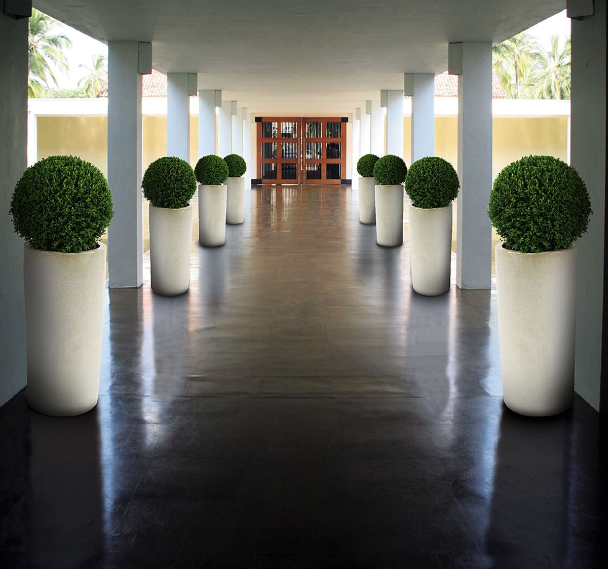 Buxus Ball in Ceramic Planter