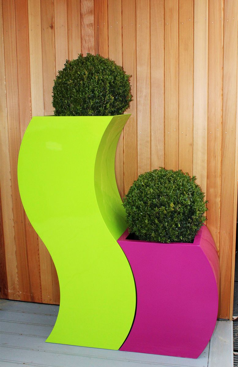 Buxus Ball in Curvy &lsquo;S&rsquo; Planter