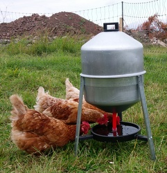 Poultry Feeders & Drinkers