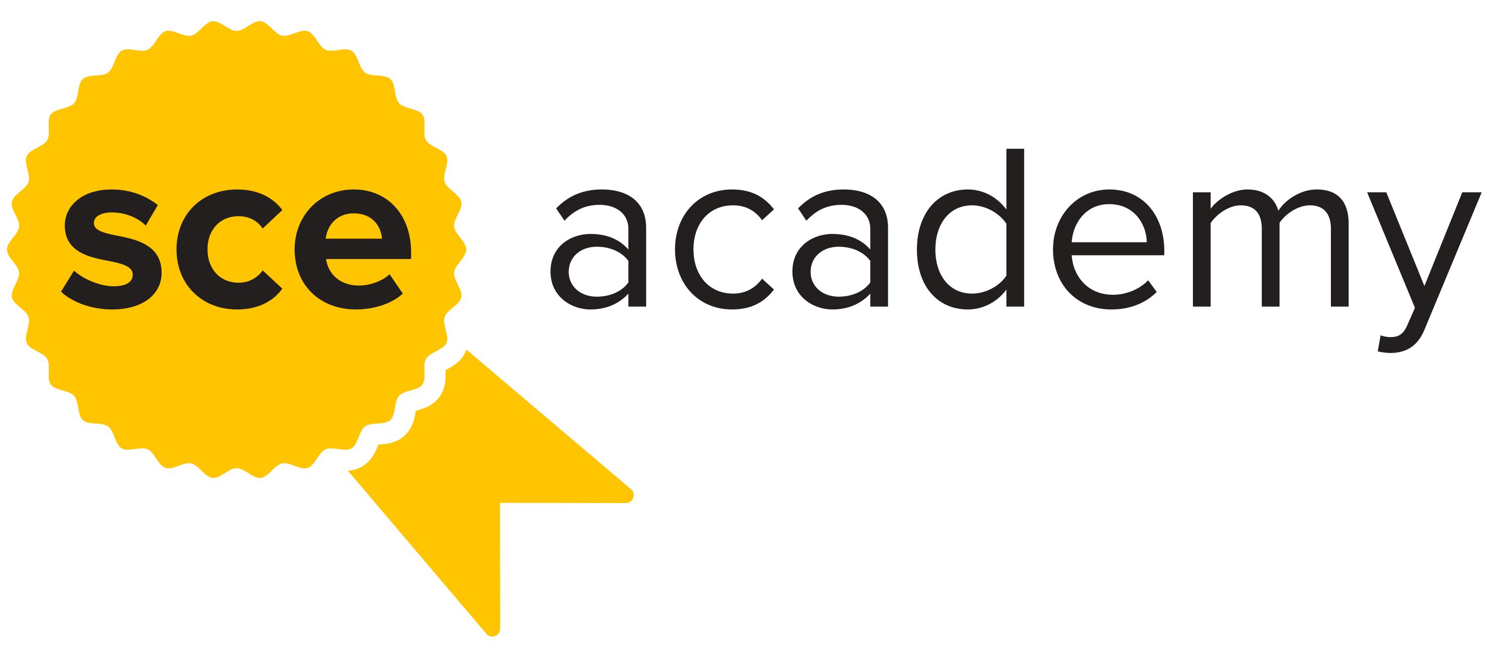 SCE Academy