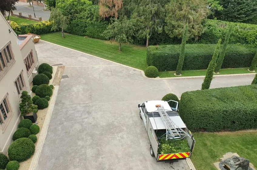 Hedge Trimming