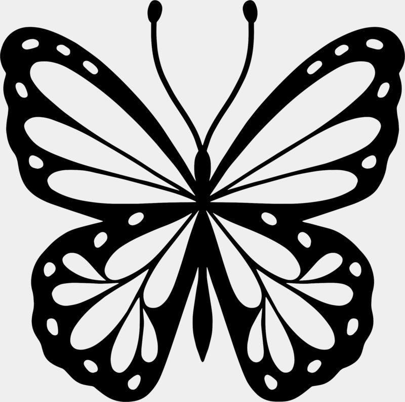 Butterfly Design