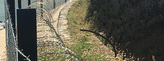 Security Fence Topping