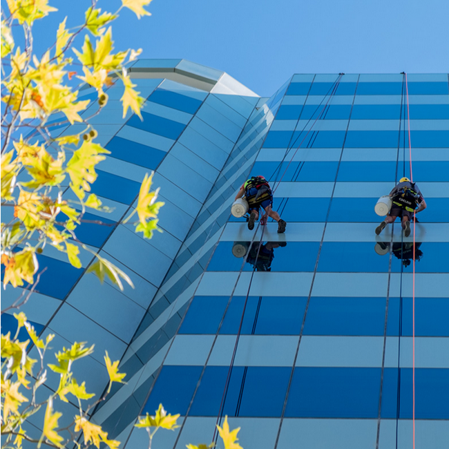 Commercial Window Cleaning