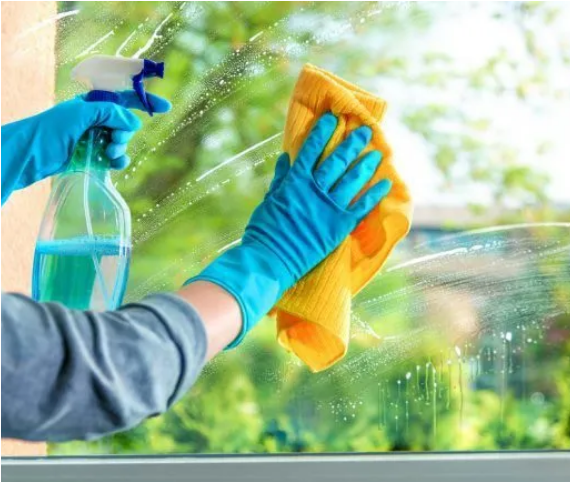 Window Cleaning Services