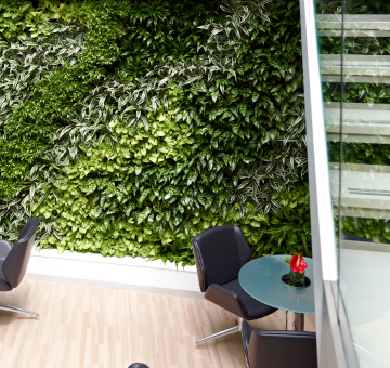 Green Walls