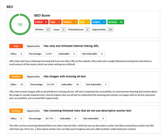 Detailed SEO Audit