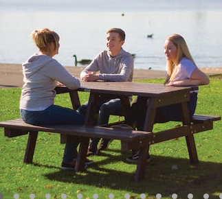 Standard Picnic Table