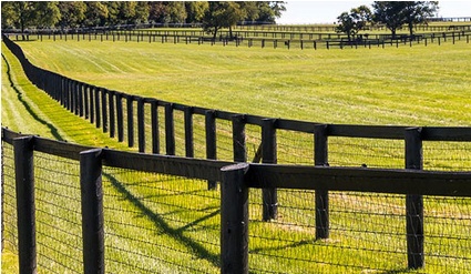 Fencing Materials