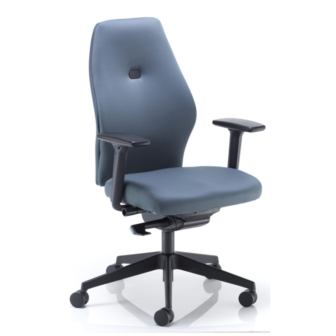 Ratio Physio Approved Ergonomic Office Chair