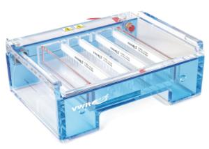 Electrophoresis Systems