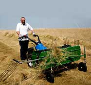 Meadow/Hay Rake