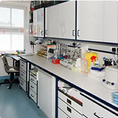 Lab Furniture