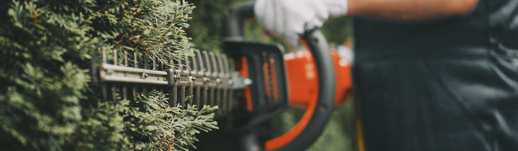 Hedge Cutting & Maintenance