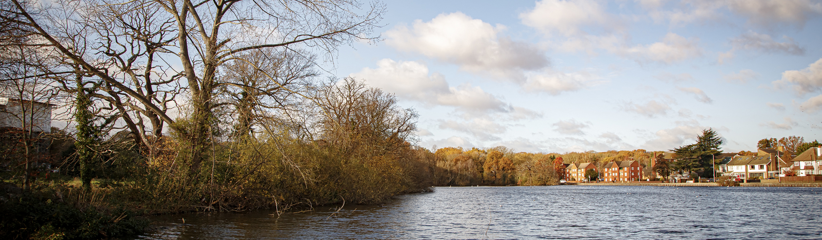 Nature-Related Risk Disclosure