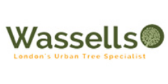 Tree Surgeons in Hackney