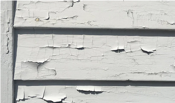 Lead Paint Surveys & Lead Services