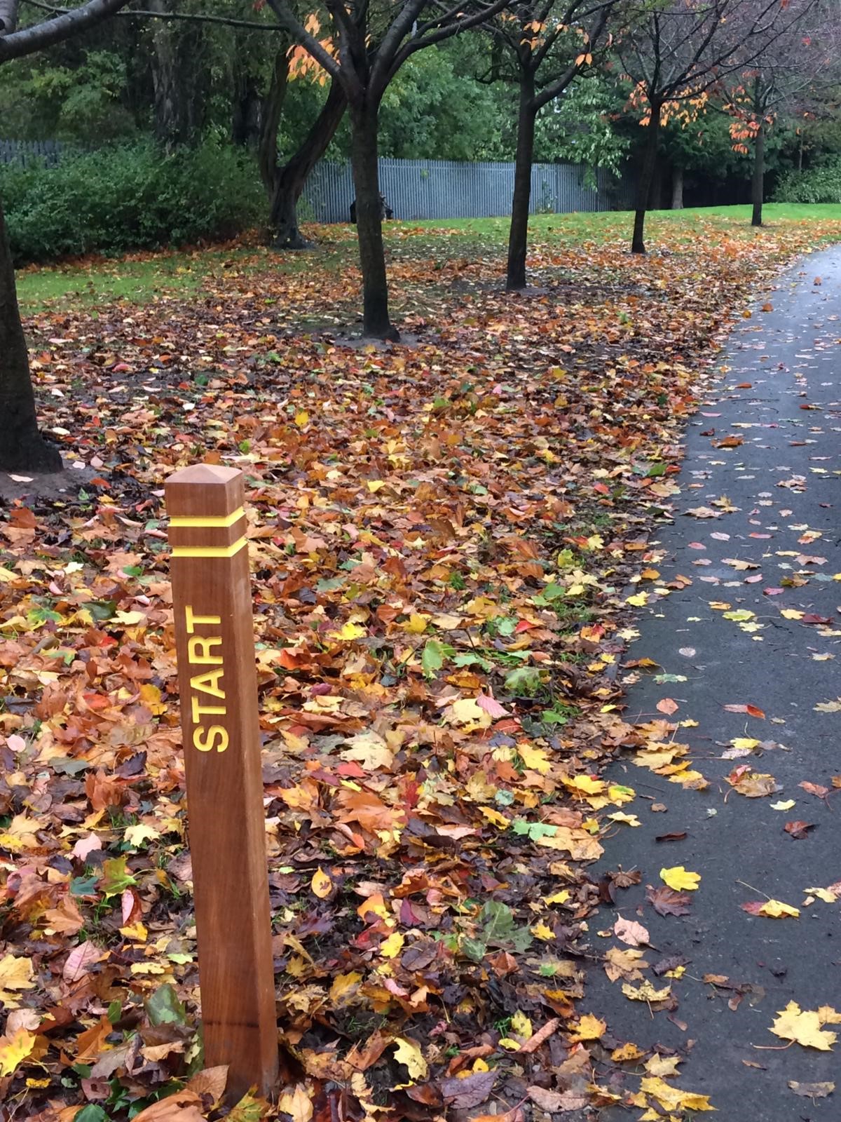 Directional Bollards