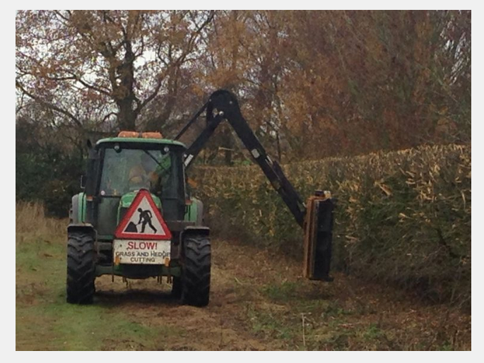 Hedge Cutting