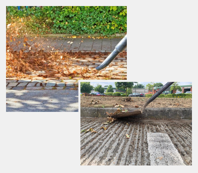 Leaf Clearance & Gully Sweeping