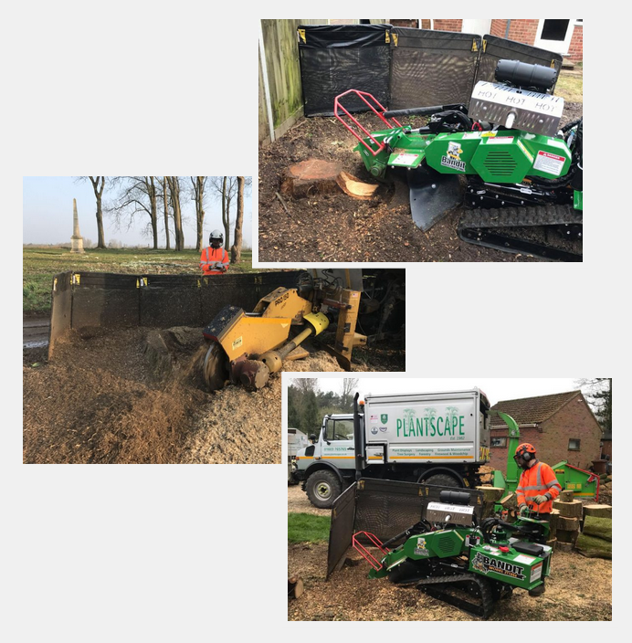 Tree Stump Grinding