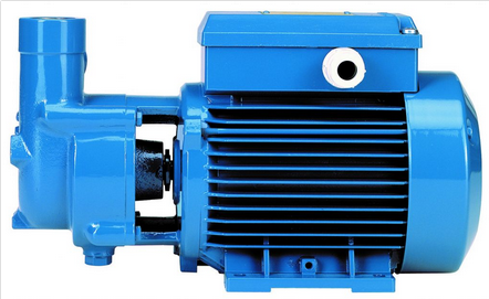 Self-Priming Liquid Ring Pump