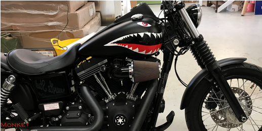 Vinyl Detailing for Bikes