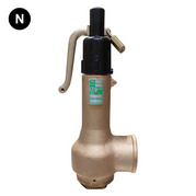  Bailey 716 Safety Relief Valve