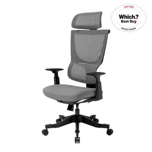 Flexi-Chair Ergonomic Office Chair BS8