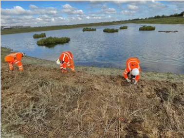 Habitat Enhancement