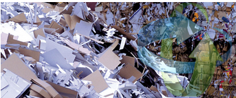 Cardboard & Paper Recycling