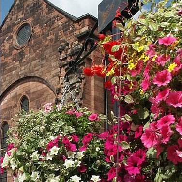 Hanging Baskets