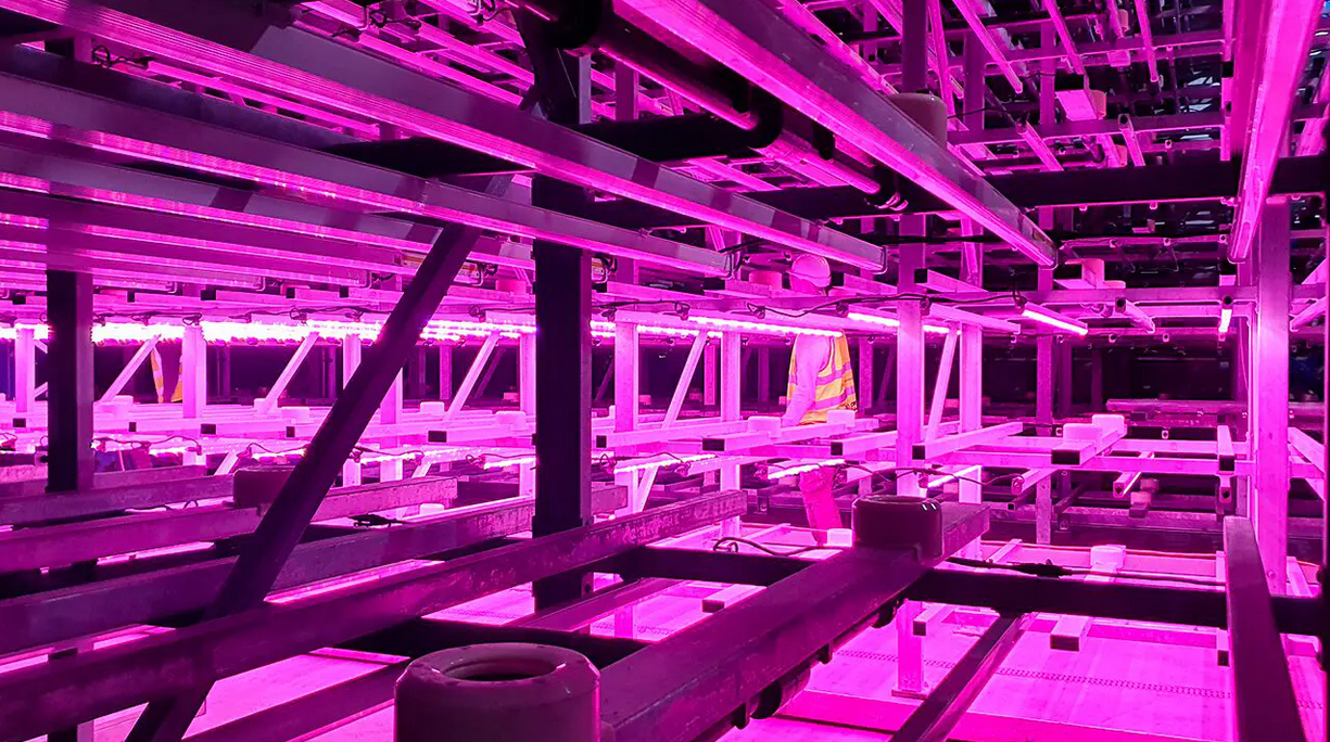 Vertical Farm Racking