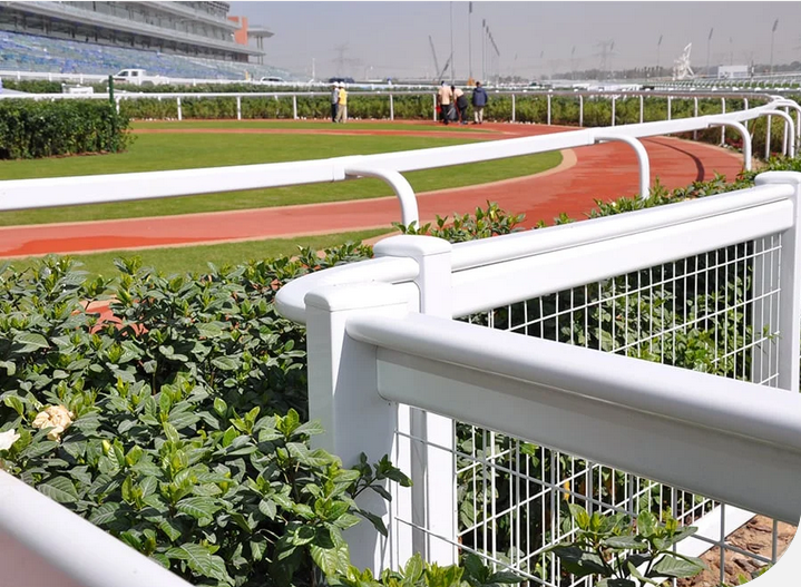 Equestrian Fencing