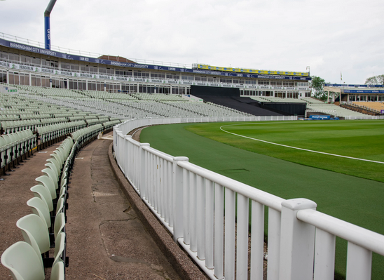 Cricket Fencing