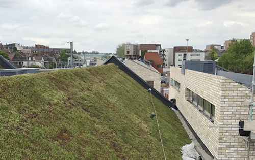 Green Roofing