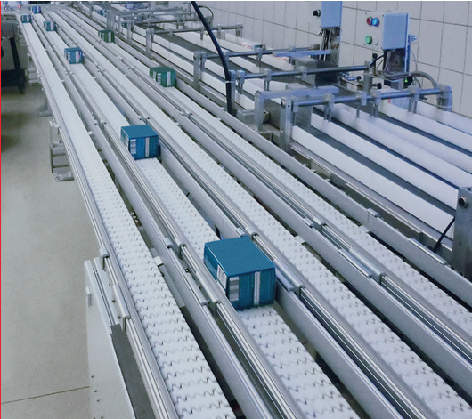 Flat Top Chain Conveyor