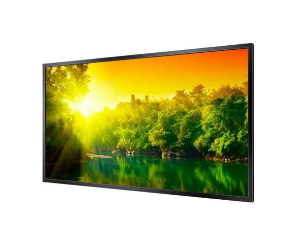 High Brightness Professional Monitor